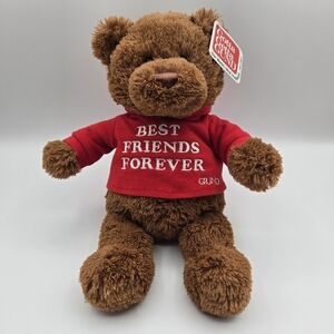 Gund Bear Hugs Best Friends Forever Brown Bear Red Hoodie Plush Stuffed Animal
